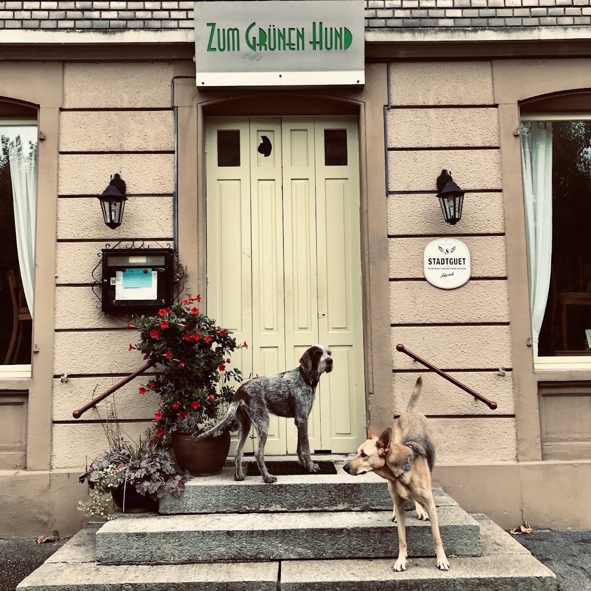 Zum Grünen Hund